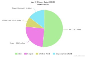 Our June 2015 Grocery Budget